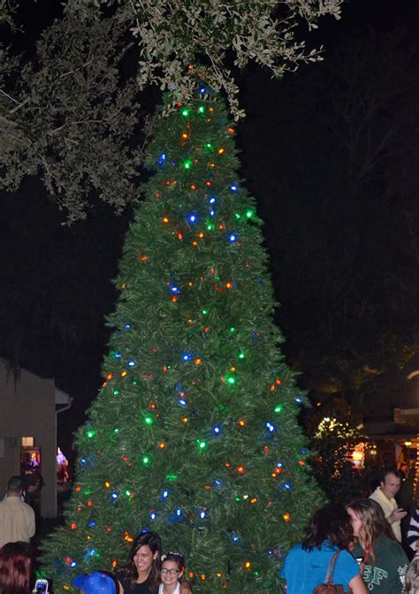 Safety Harbor Tree Lighting