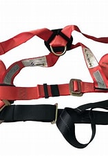 safety harness and lanyard