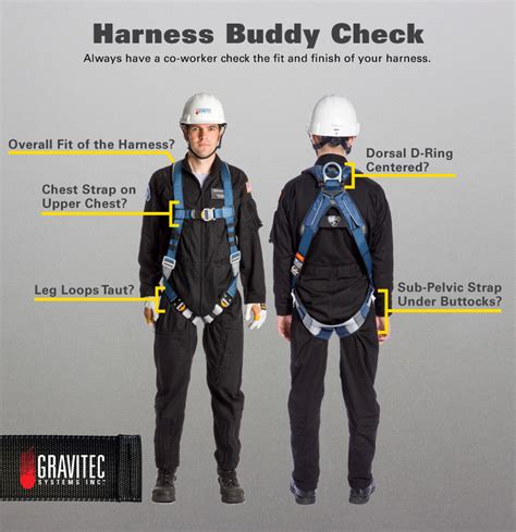 Safety Harness Checks