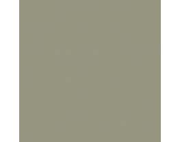 SherwinWilliams Garden Sage (SW 7736) this is nothing like the