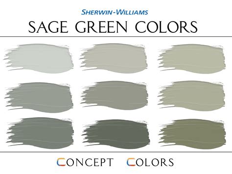 Sage Color Samples