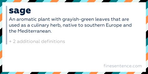 Sage Definition Antonym