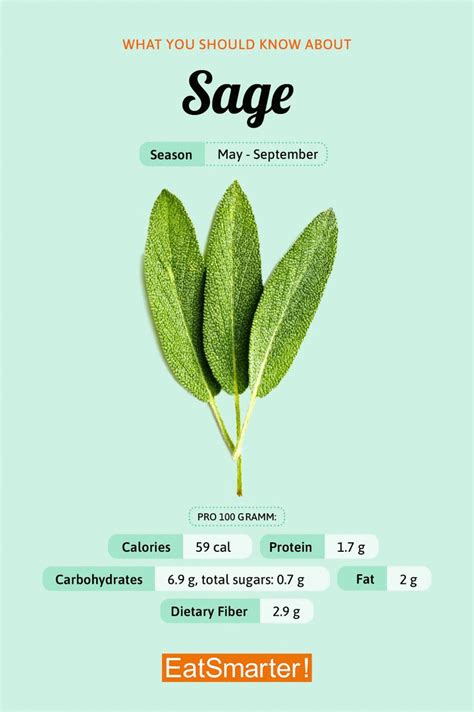 Sage Diff Meaning