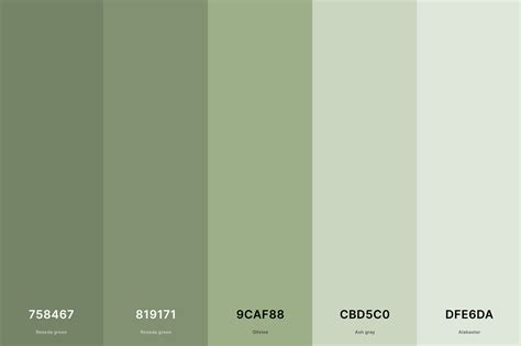 sage green color palette