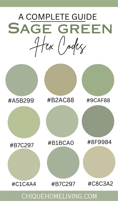 sage green hex code excel