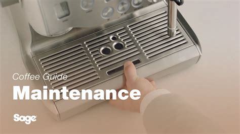 Sage Oracle Cleaning