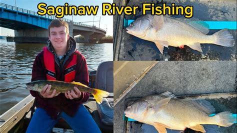 Saginaw River Fishing Report