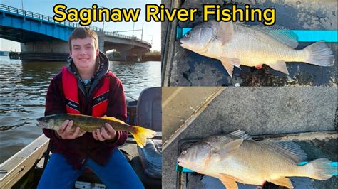 saginaw river fishing report