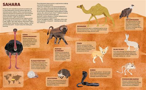 sahara desert animals list