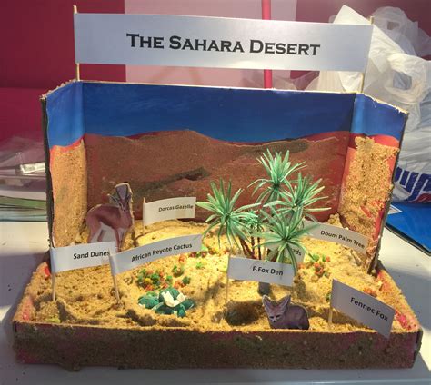 sahara desert ecosystem project