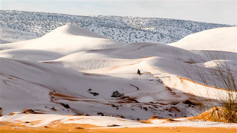 sahara desert weather in winter