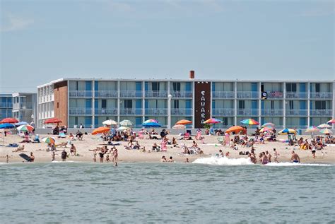 sahara ocean city md rates