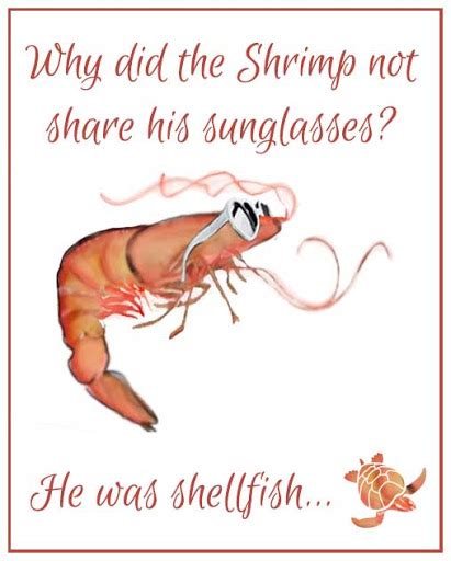 sailing, smiling, and shrimp-eating funny saying