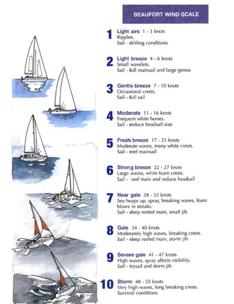 Sailing Wind Force Scale