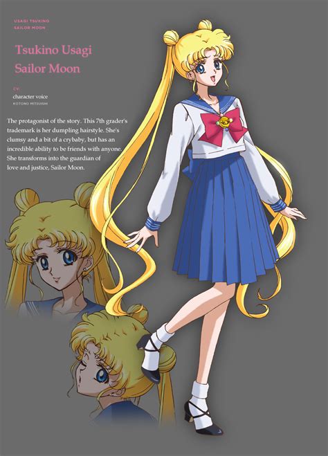 sailor moon character profiles