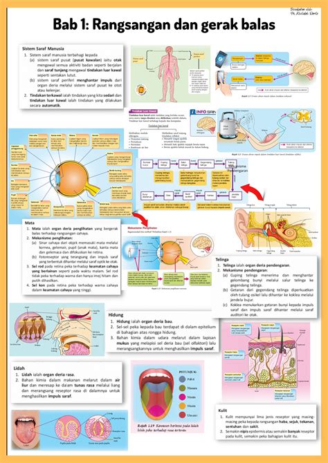 sains tingkatan 3