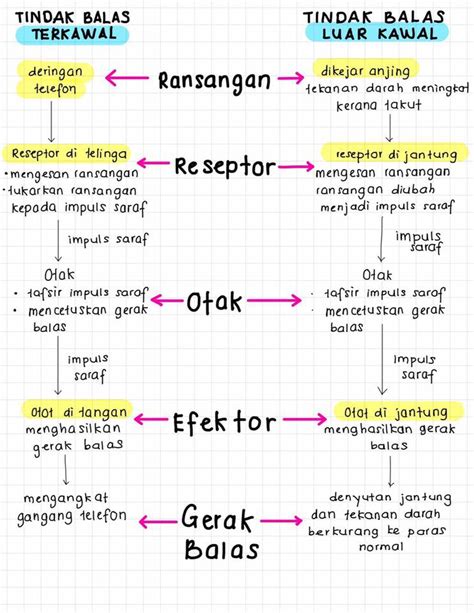 sains tingkatan 3 bab 3