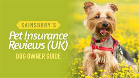 Best pet insurance The best pet insurance policies to cover vet bills