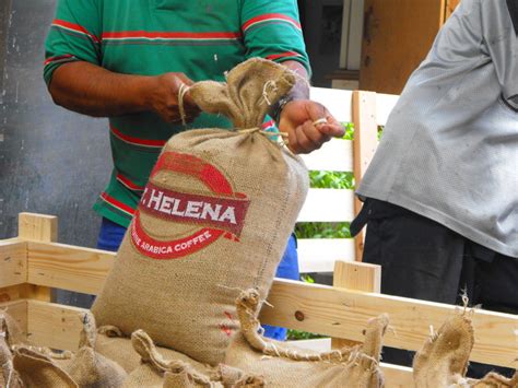 saint helena coffee beans