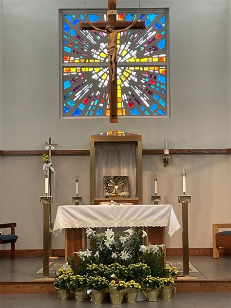 saint timothy catholic church website