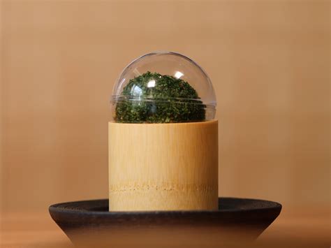 Unveiling the Mysteries of Sakabayashi: A Hidden Gem You Can't Miss