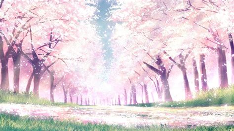 Sakura Flower Anime Background