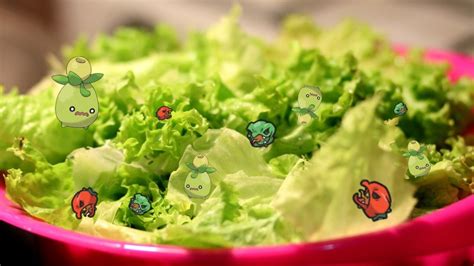 salad dressing pokemon