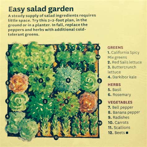 Salad Garden Layout