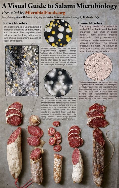 Salami Techniques