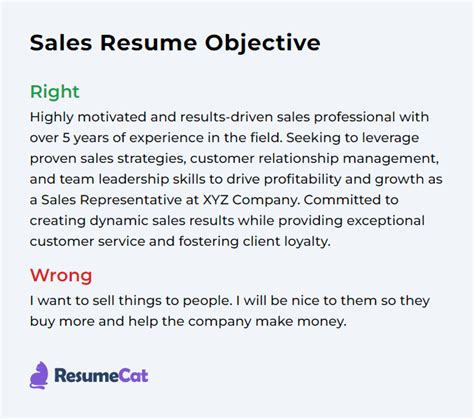 sales resume objective statement examples