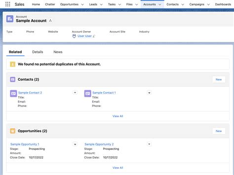 salesforce composite api patch example
