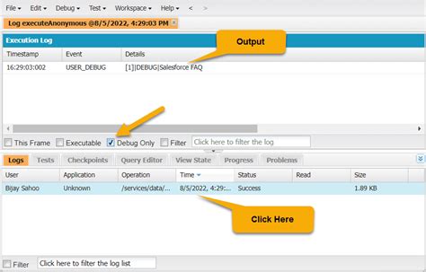 Salesforce Developer Console Debug