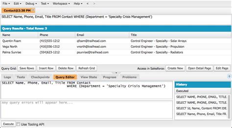 Salesforce Developer Console Query Example