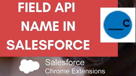 Salesforce Field Api Extension