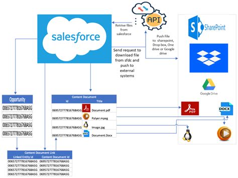 Salesforce File Field