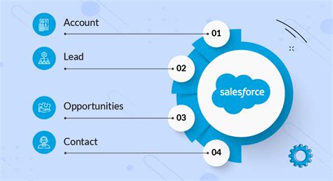 salesforce integration license standard objects