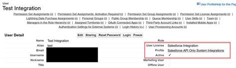 salesforce integration user license object permissions