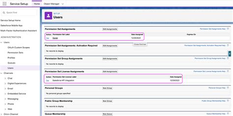 salesforce integration user license security token