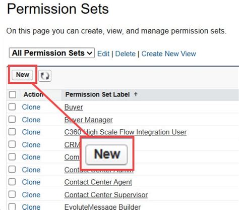 salesforce permission to create users