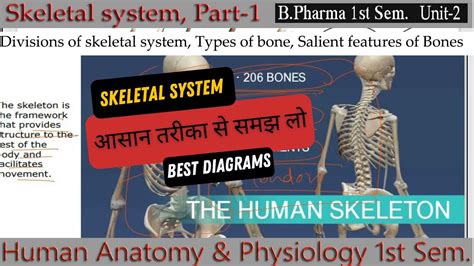 salient features of bones ppt