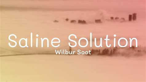 Saline Solution Wilbur Soot (LYRICS) YouTube