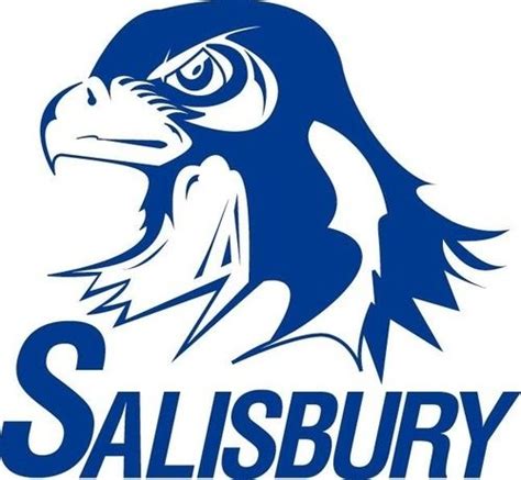 salisbury area school district pa