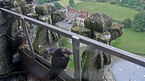 salisbury cathedral webcam