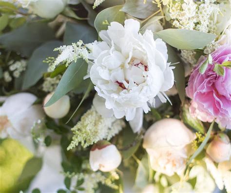 salisbury md florist wedding