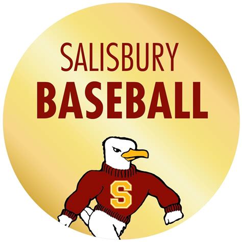 salisbury minor league baseball