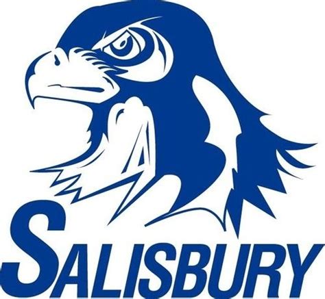 salisbury school district pa