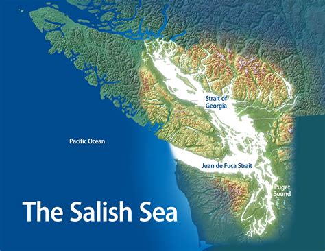 salish sea map chart