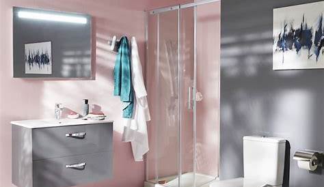 Conseils pour réussir une salle de bains rose Styles de