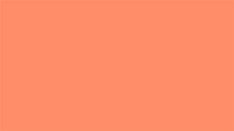 The Beauty Of Salmon Color Background In 2023