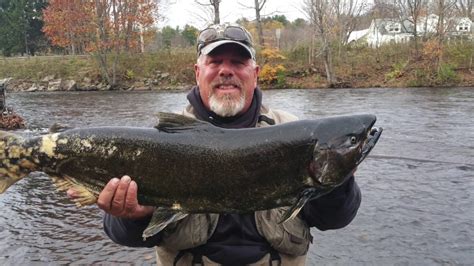 salmon fishing ny pulaski reports